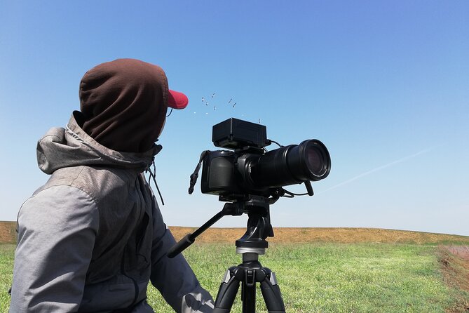 Kos Wildlife Walks: birdwatching and animal photography - Season and weather can make or break the outing
