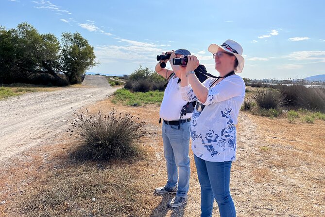 Kos Wildlife Walks: birdwatching and animal photography - Psalidi: a second setting with room for views