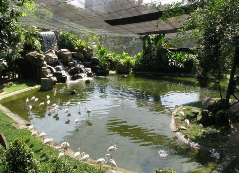 Kuala Lumpur: Bird Park, Butterfly & Garden Private Tour - Butterfly Park brings a very different kind of wildlife encounter