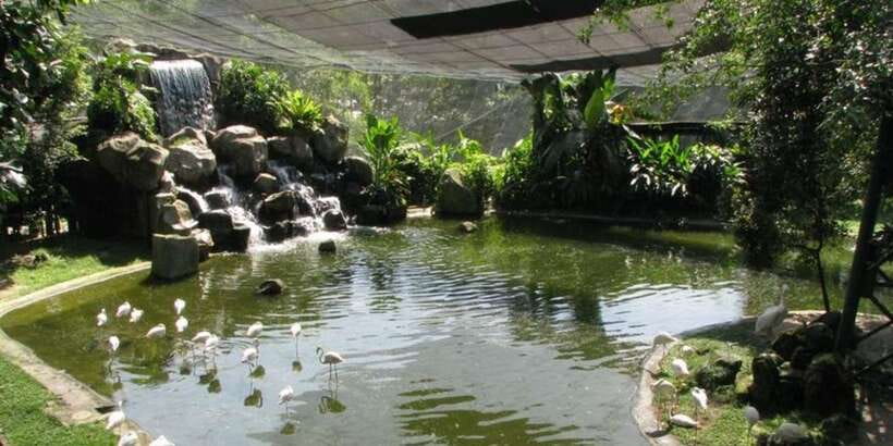 Kuala Lumpur: Bird Park, Butterfly & Garden Private Tour - Should you book the Bird Park and gardens tour?
