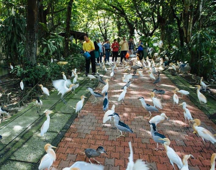 Kuala Lumpur: Bird Park, Butterfly & Garden Private Tour - Orchid and Hibiscus Garden offers the calmest stop