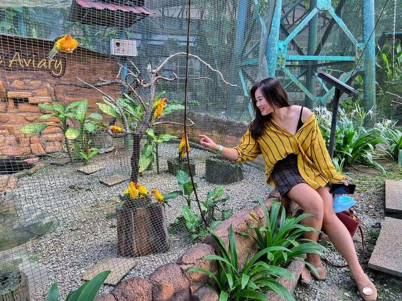 Kuala Lumpur: Bird Park Day Ticket & 1-Way Transfer - How long to stay at Kuala Lumpur Bird Park
