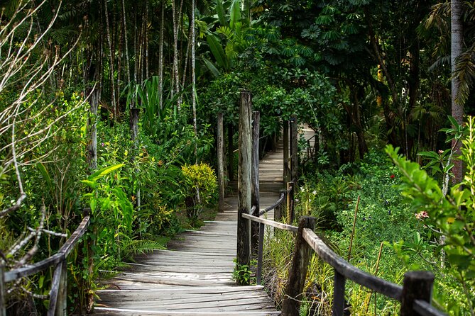 Kula Eco Bird Park ,Momi Gun Site And Market Tour Ex Marriott and Denarau resort - Is $120.13 good value?