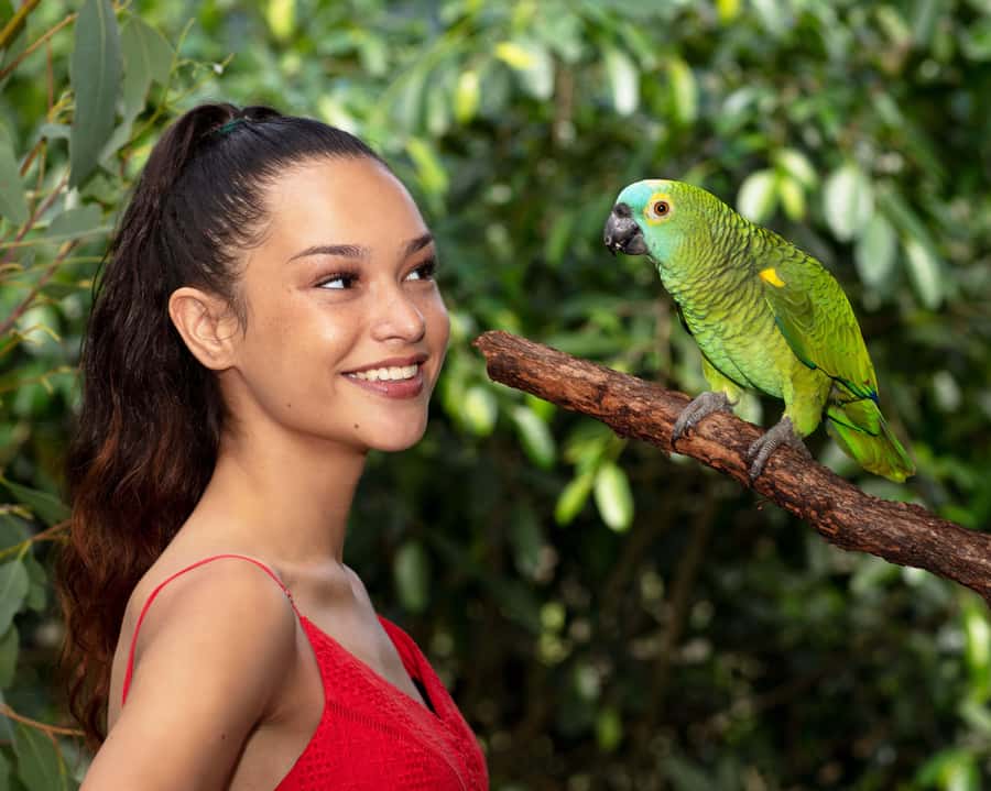 Kuranda Wildlife Experience: Koalas, Birds & Butterflies - Start at Kuranda Koala Gardens