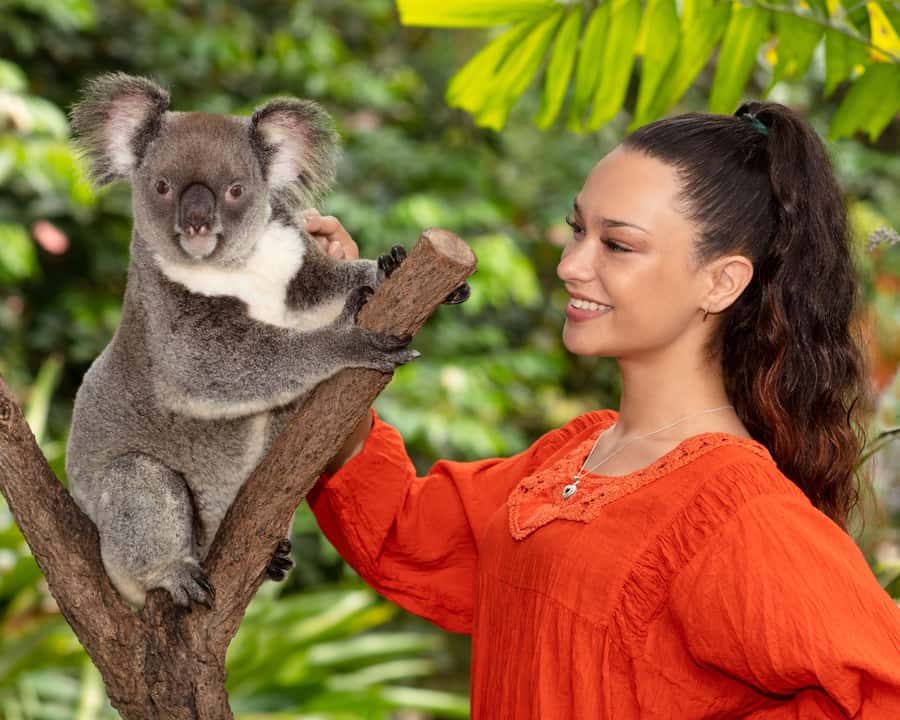 Kuranda Wildlife Experience: Koalas, Birds & Butterflies - Birdworld Kuranda and its 60-plus species