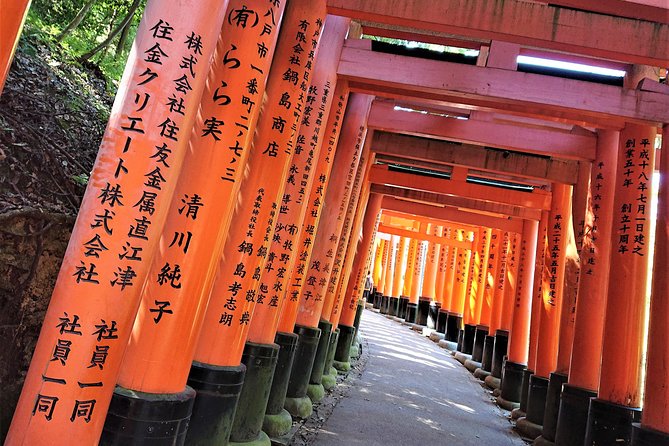Kyoto Late Bird Walking Tour - Yasaka Pagoda and a classic Kyoto view