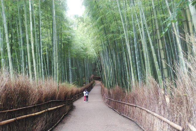 Kyoto Lazy Bird Walking Tour - What your guide adds to the day