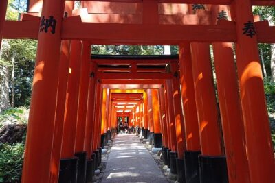 Kyoto Lazy Bird Walking Tour