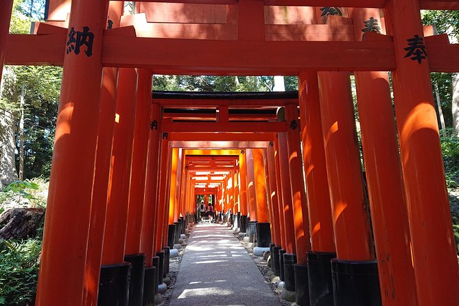 Kyoto Lazy Bird Walking Tour - Fushimi Inari: walking beneath thousands of torii