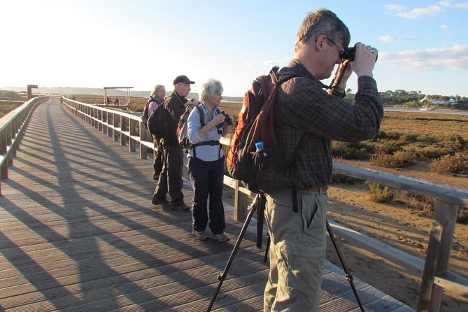 Laid-back birdwatching week - Key points at a glance