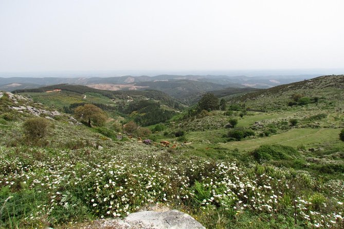 Laid-back birdwatching week - Day six: An eight-hour outing around Castro Verde