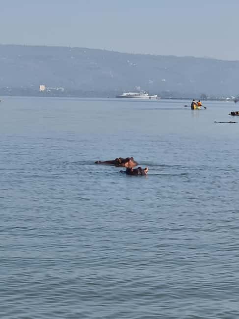 Lake Victoria Boat Ride, Birds Watching and Hippo Watching. - What the Lake Victoria boat ride feels like