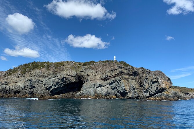 Late Season Puffin & Scenic Coastal Cruise - Why late-season puffins are still worth seeing
