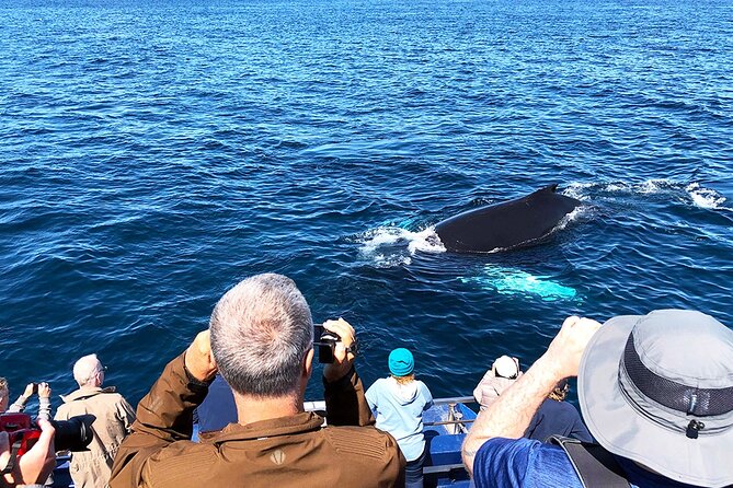 Late Season Puffin & Scenic Coastal Cruise - The crew adds more than facts