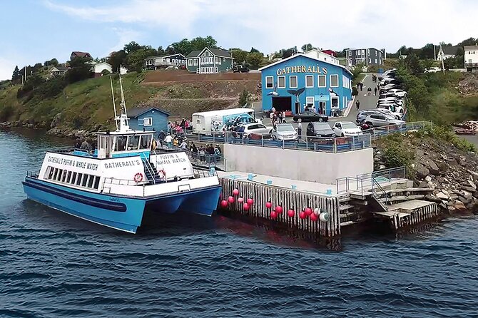 Late Season Puffin & Scenic Coastal Cruise - Weather, clothing, and comfort