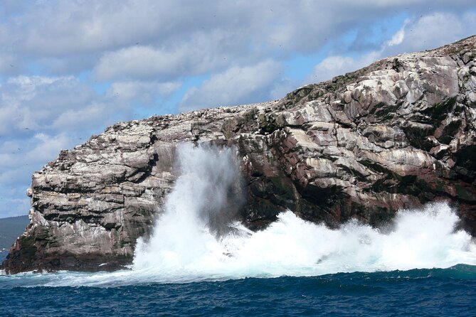 Late Season Puffin & Scenic Coastal Cruise - Timing, group size, and practical planning