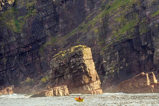 Late Season Puffin & Scenic Coastal Cruise - Bay Bulls and the Witless Bay islands