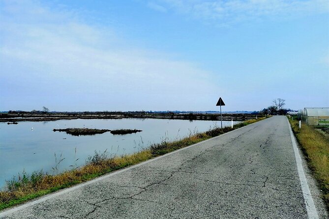 Lio Piccolo: Flamingos & Birdwatching Bike Tour in the Lagoon - From Fondamente Nove to Treporti by water