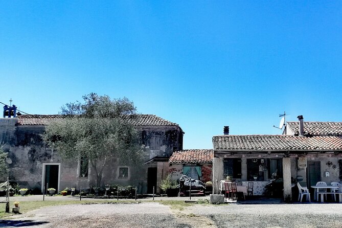 Lio Piccolo: Flamingos & Birdwatching Bike Tour in the Lagoon - Via delle Mesole and the open lagoon scenery