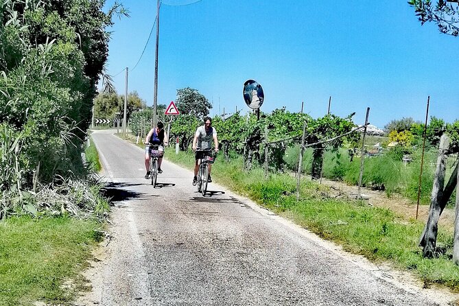 Lio Piccolo: Flamingos & Birdwatching Bike Tour in the Lagoon - Al Notturno and the natural story of the lagoon