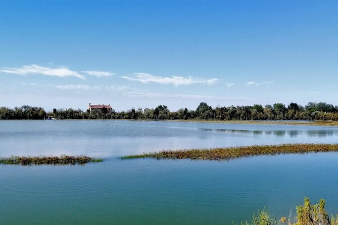 Lio Piccolo: Flamingos & Birdwatching Bike Tour in the Lagoon - Choosing your bike at Treporti