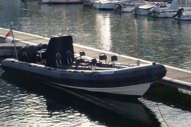 Lisbon : Birdwatching Boat Tour - Tagus Estuary - What photographers should expect