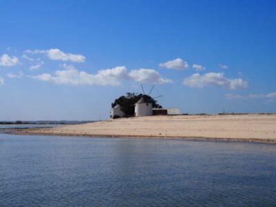 Tagus Estuary Nature Reserve Birdwatching Boat Tour