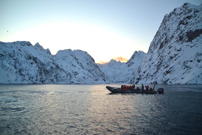 Lofoten RIB Sea Eagle Safari and Trollfjord Cruise - What the two-hour schedule feels like