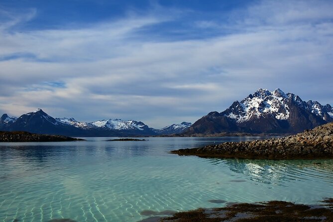 Lofoten RIB Sea Eagle Safari and Trollfjord Cruise - Price and practical value at $128.94