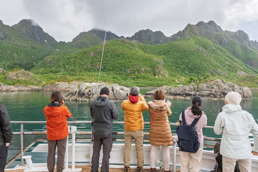 Lofoten: Sea Eagle Sunset Cruise - Oddvaer: Where Wildlife and Photos Take Over