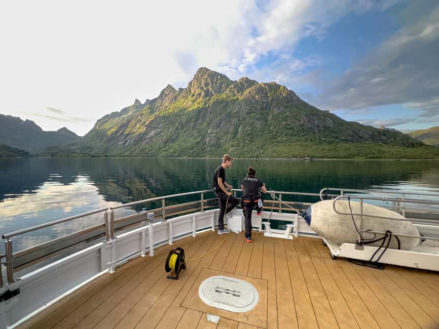 Lofoten: Sea Eagle Sunset Cruise - The Right Tour for Bird Lovers and Short Itineraries