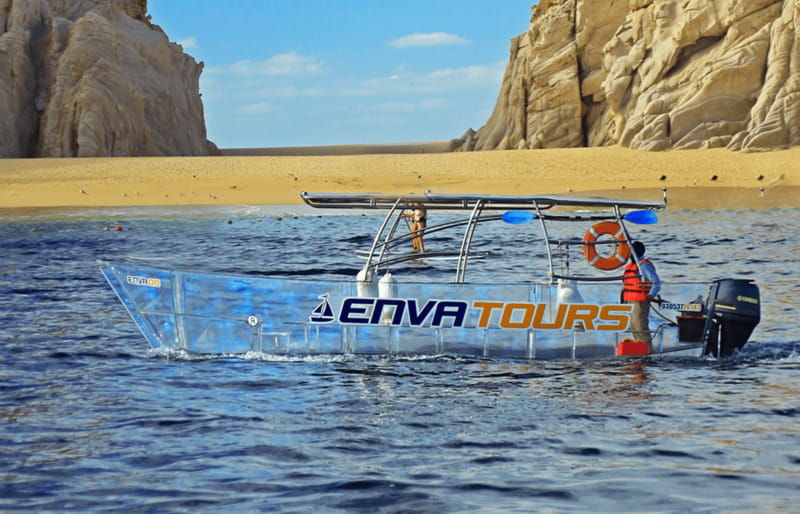 Los Cabos Arch & PelicanRock Cabo San Lucas CrystalBoat Tour - Watching fish below the transparent floor