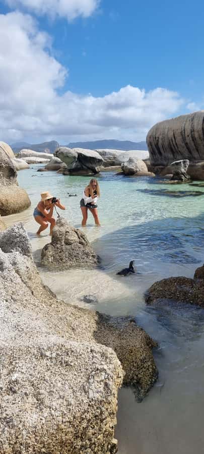 Luxury Cape of Good Hope & Penguin Tour - St James Beach starts the visual story