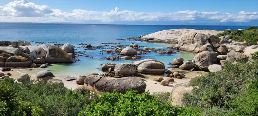 Luxury Cape of Good Hope & Penguin Tour - A full day in seven hours needs realistic expectations