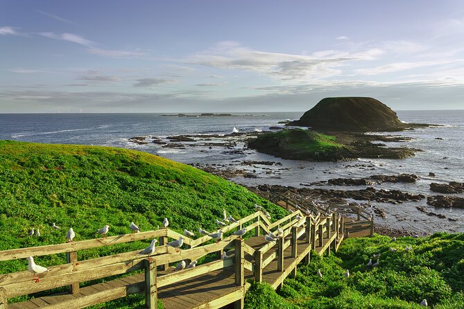 Luxury Phillip Island Tour for Families & Explorers [up to 10Pax] - How the day feels for families and independent explorers