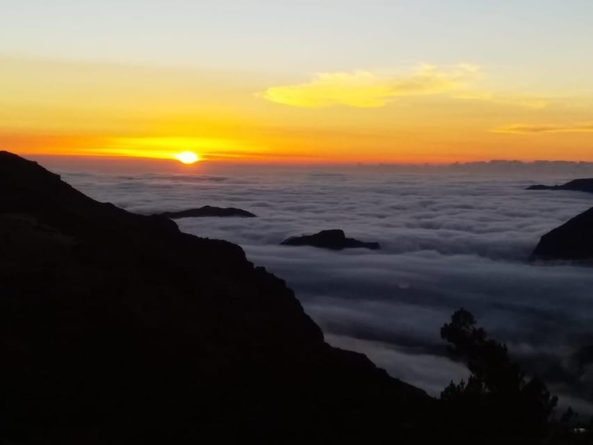 Madeira: Birdwatching - The Endemics - São Lourenço gives the tour a different kind of birding