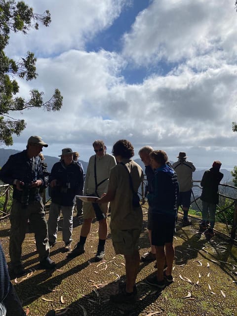 Madeira: Birdwatching - The Endemics - Price, group size, and what you are really paying for