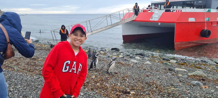 Magdalena Island: Walk with the penguins - Walking the 800-meter route on Magdalena Island