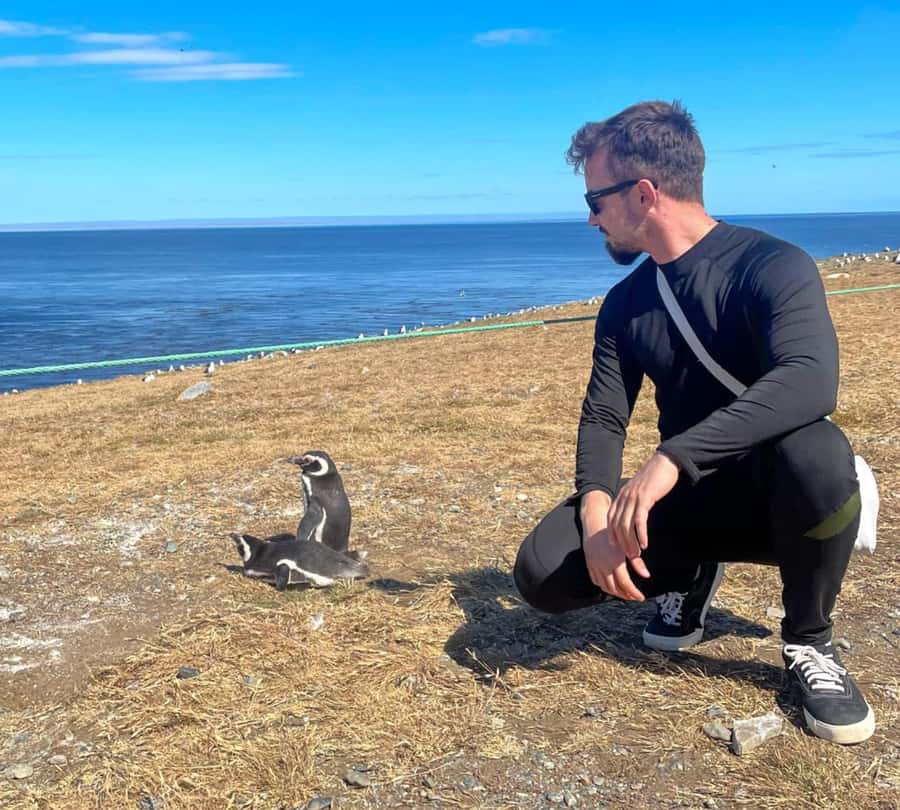 Magdalena Island: Walk with the penguins - What you may see among the penguins