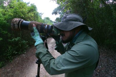 Mahahual and Costa Maya Birdwatching