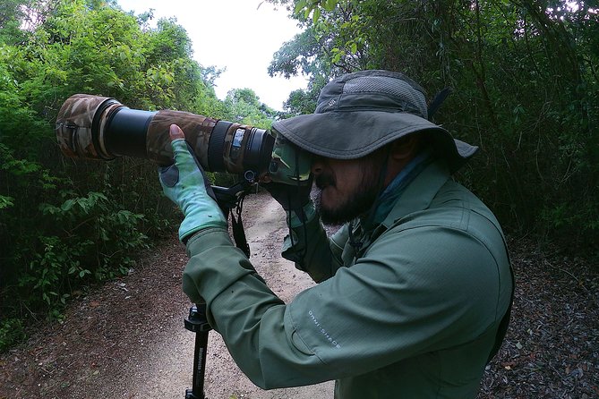 Mahahual and Costa Maya Birdwatching - Starting at 7:00 am in Mahahual