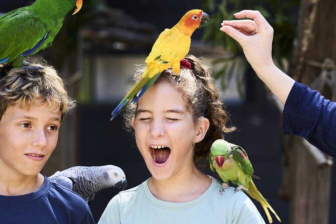 Maleny Botanic Gardens Bird Aviary Experience Ticket - Why the guided aviary tour matters