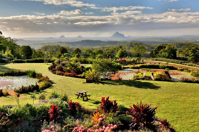 Maleny Botanic Gardens Bird Aviary Experience Ticket - Choosing the best time of day
