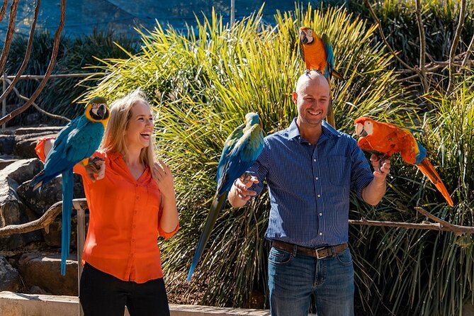Maleny Botanic Gardens Bird Aviary Experience Ticket - Six kilometres of gardens beyond the aviary