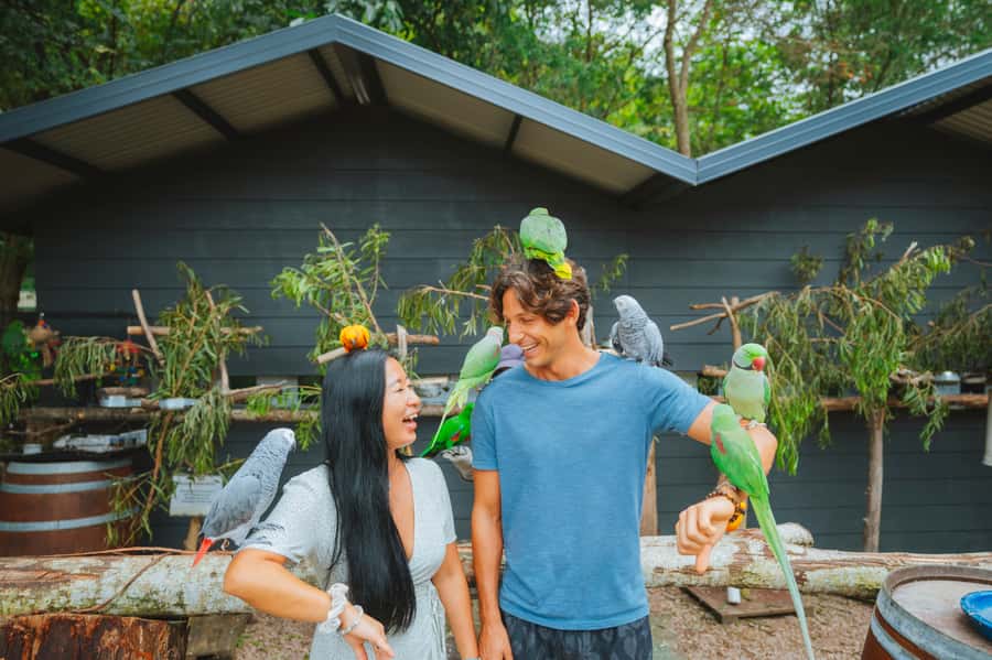 Maleny: Maleny Botanic Gardens & Bird World Entry Ticket - Key points before you go