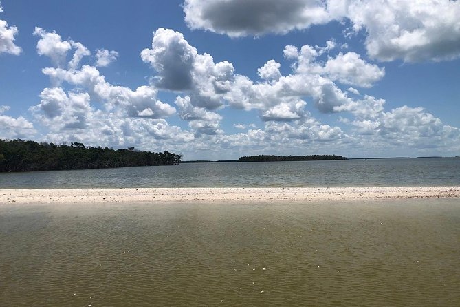 Marco Island: 2-Hour Dolphin, Birding, and Shelling Tour - The dolphin search: exciting, but never guaranteed