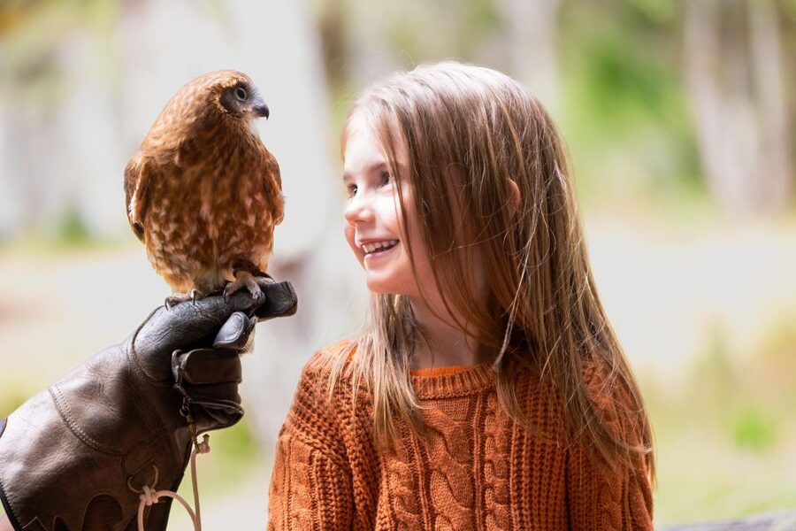 Margaret River: Birds of Prey Encounter and Forest Walk - Who will enjoy this experience most