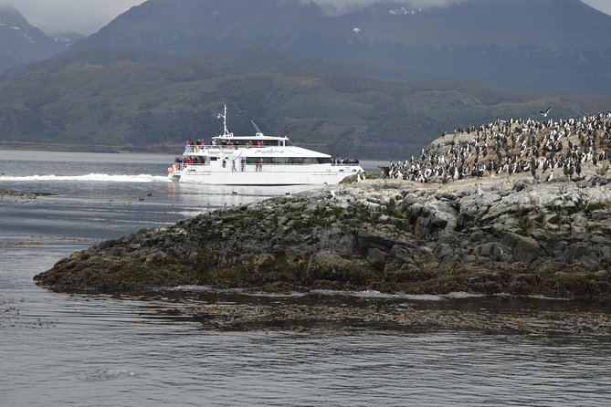 Martillo Island: Boat Trip to the Penguin Colony & Beagle Channel - Reaching Martillo Island and its summer penguins