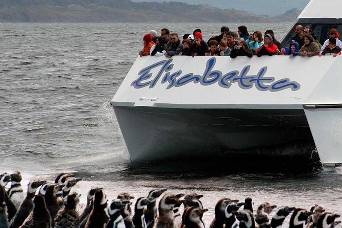 Martillo Island: Boat Trip to the Penguin Colony & Beagle Channel - Guides, language, and the onboard experience