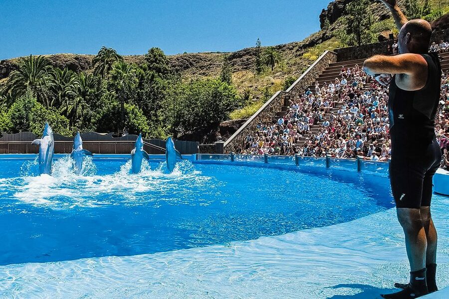 Maspalomas: Palmitos Park Ticket with Dolphin and Bird Shows - Butterflies, orchids, and the quieter corners
